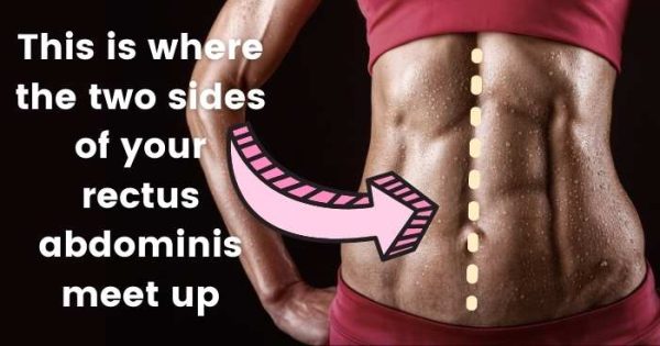This is where the two sides of your rectus abdominis meet up