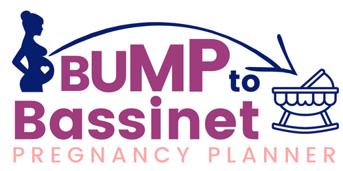 bump to bassinet pregnancy planner