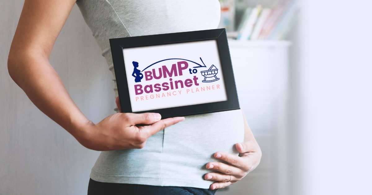 bump to bassinet pregnancy planner