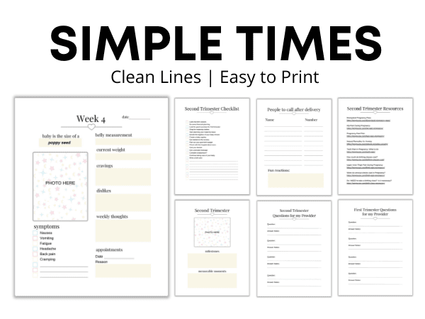 simple times pregnancy planner