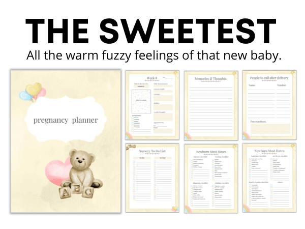 the sweetest pregnancy planner