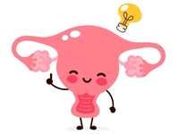 uterus with a lightbulb