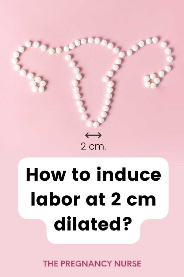 uterus / how to induce labor at 2 cm dilated