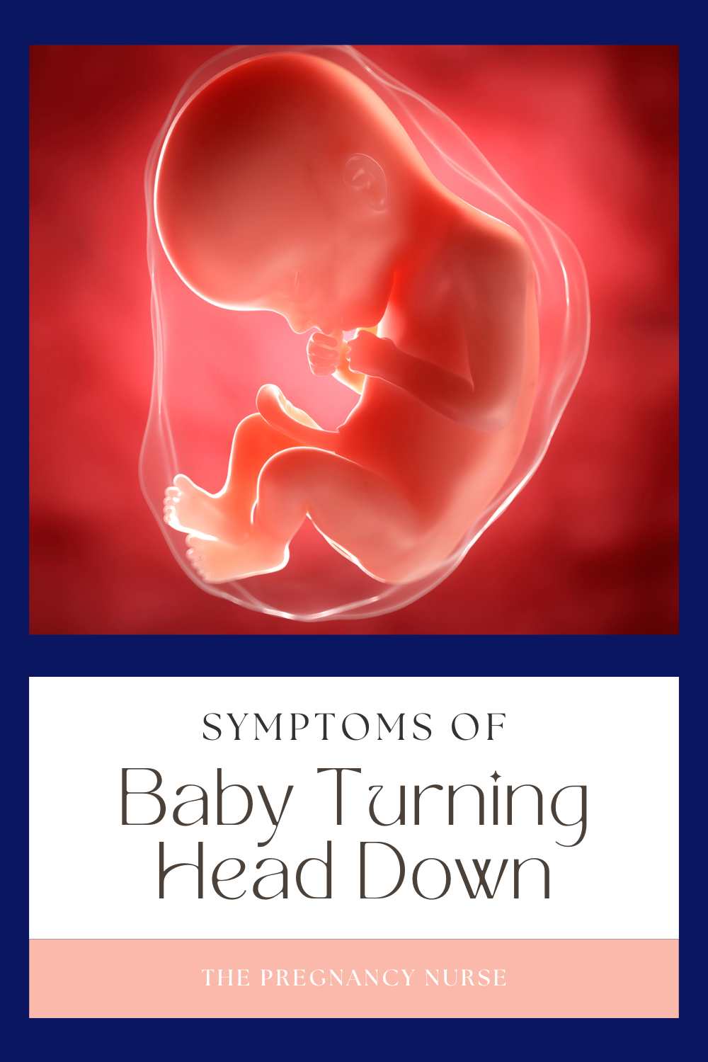 There are many signs that baby has turned head down. This helpful guide will teach you what to look for and what to do if your baby isn't in the right position for birth. Knowing what to expect can help ease your mind during pregnancy.