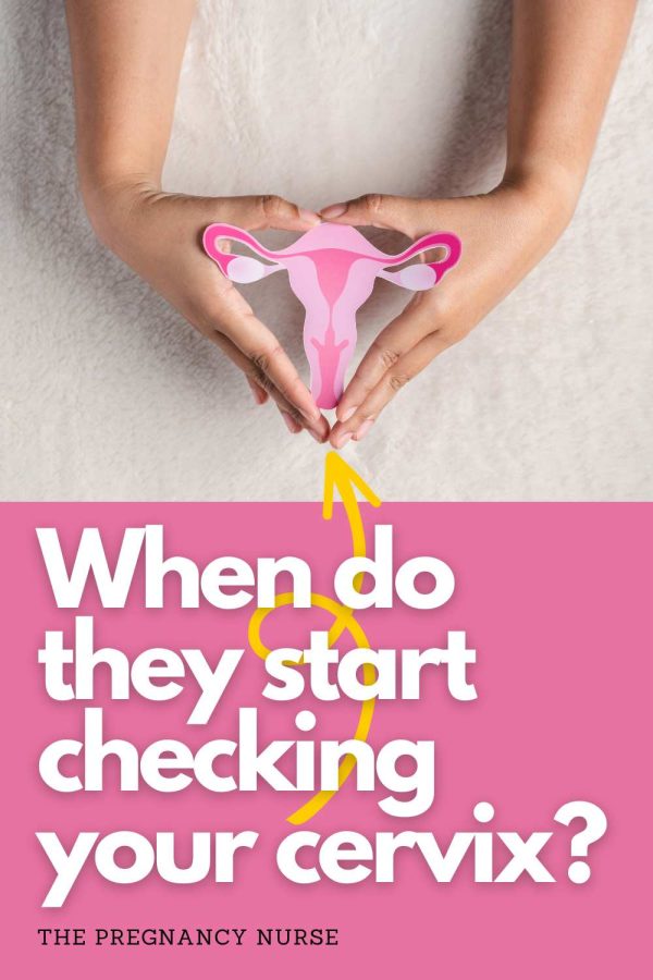 when do they start checking your cervix?