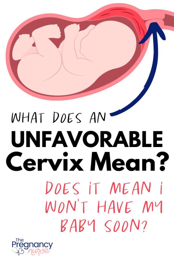 fetus/ cervix -- what does an unfavorable cervix mean?