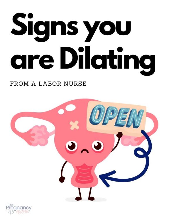 signs your are dilating / uterus