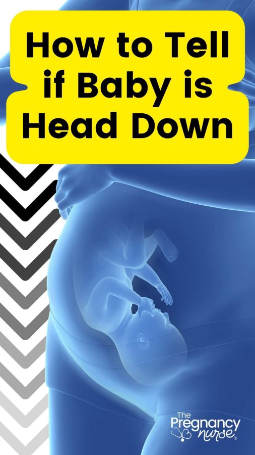 fetus that is head down in a woman's body / how can you tell if baby is head down?