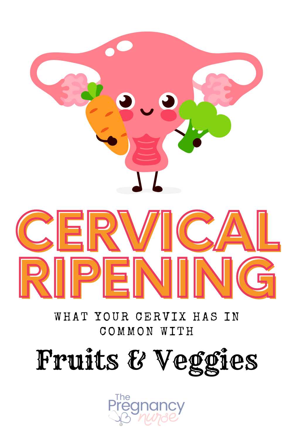 uterus with carrot and broccoli / cervical ripening / what your cervix has in common with fruits and vegetables.
