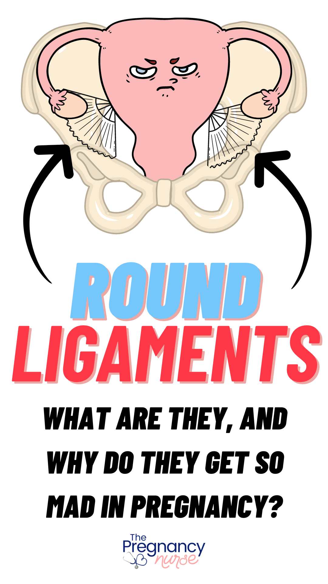 uterus in a pelvis with round liagments // round ligaments -- what are they and why do they get so mad in pregnancy?