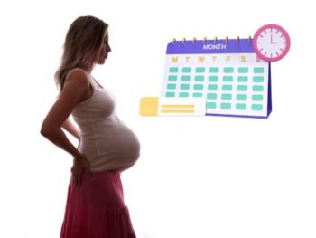 pregnant woman and calendar