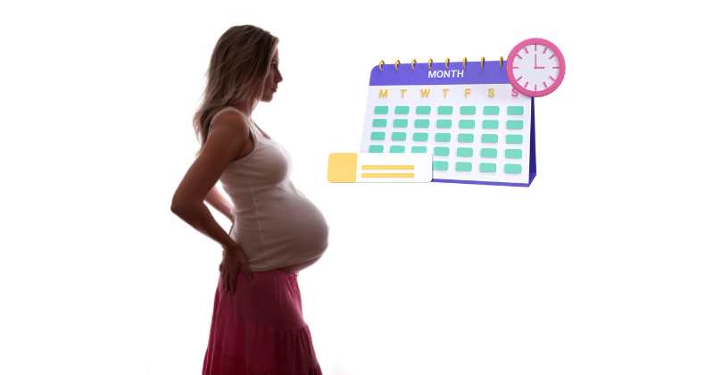 pregnant woman and calendar