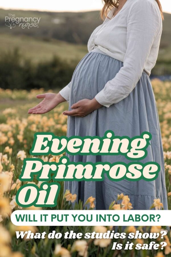 pregnant woman in a field of primrose // evening primrose oil will it put you into labor what do the studies say? Is it safe?